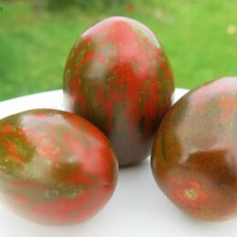 2019г. Семена томата Чёрный мавр полосатый