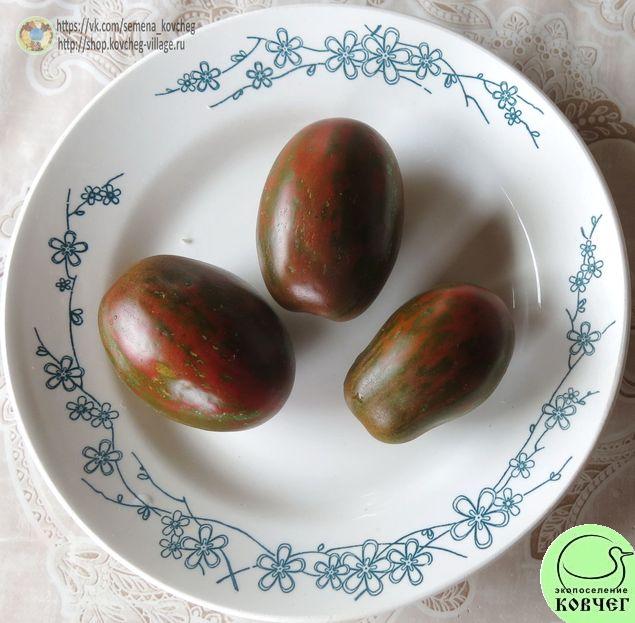 52. Чёрный мавр полосатый_1 2019г. Семена томата Чёрный мавр полосатый