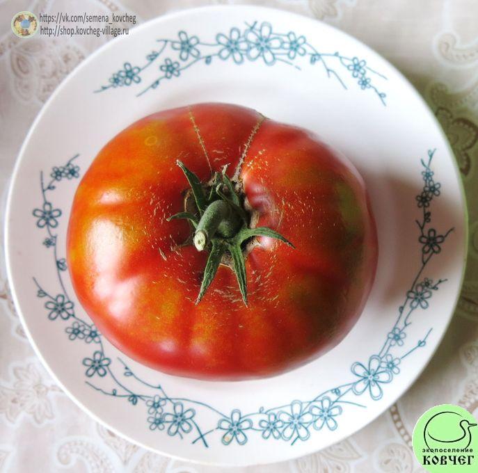 57. Шапка Мономаха (9)_1 2019г. Семена томата Шапка Мономаха