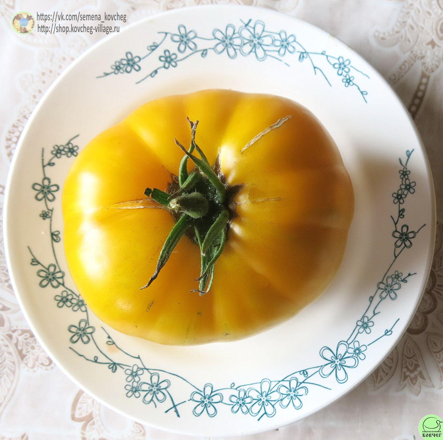 8. Большая жёлтая зебра (5) 2019г. Семена томата Большая жёлтая зебра