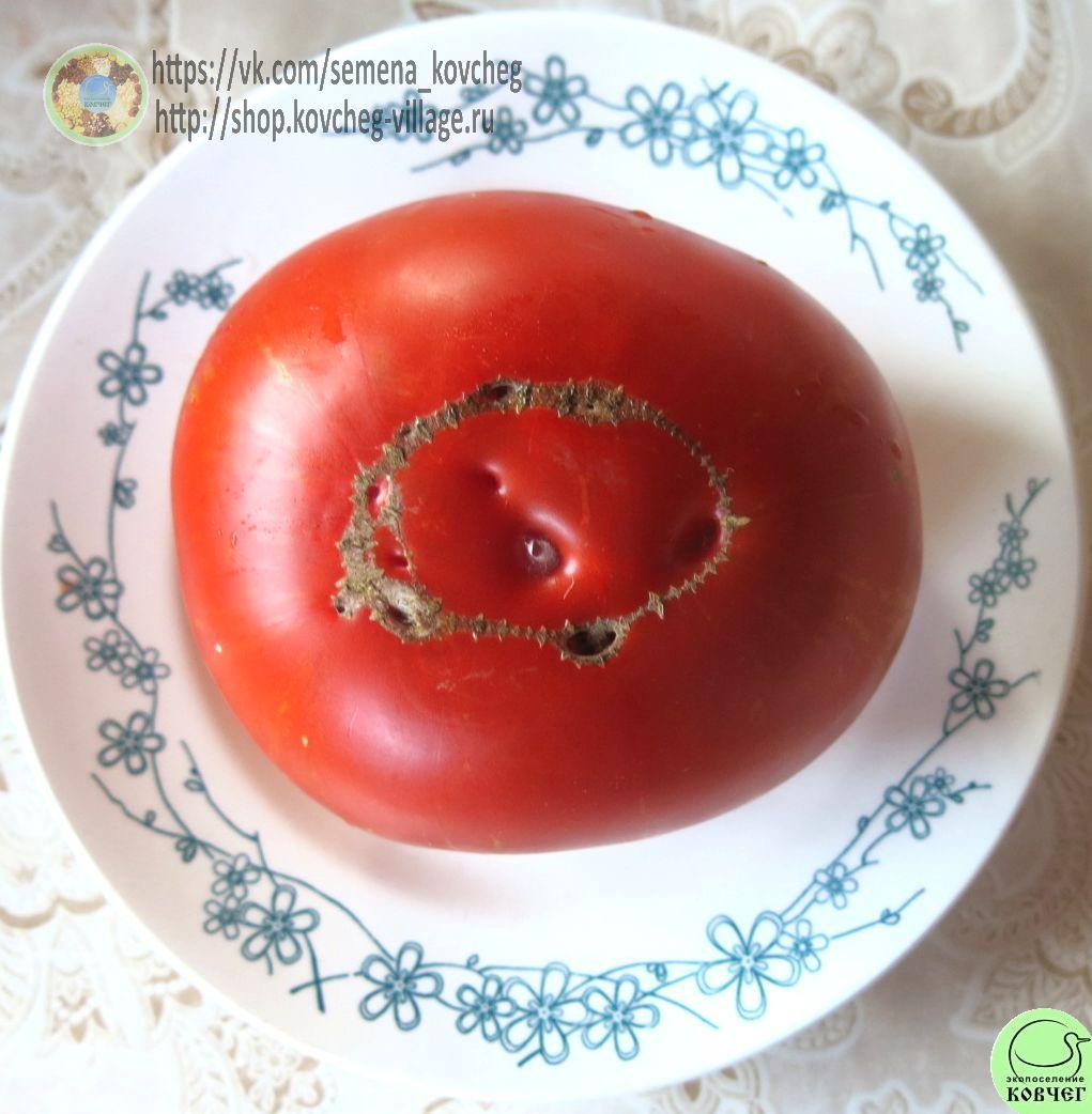 Вкус Солнца 2_2 2024г. Семена томата Вкус солнца