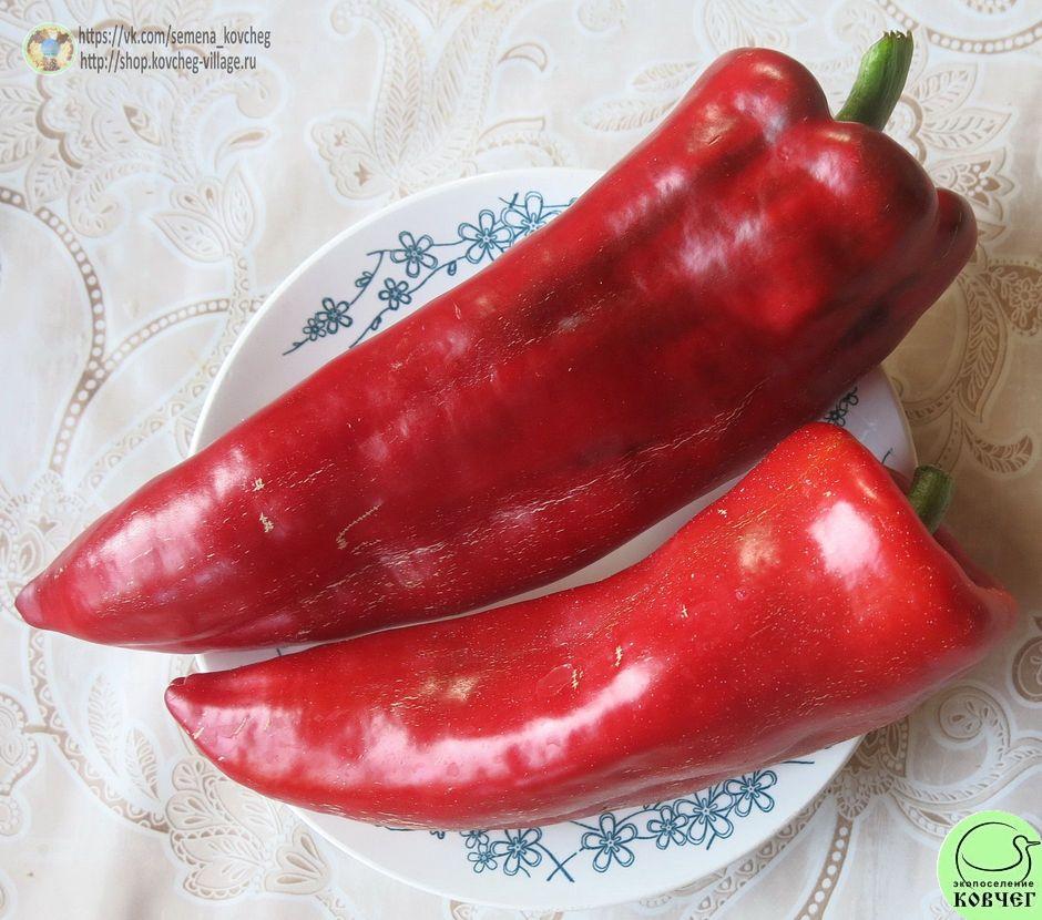 Перец сладкий 5. Гигант_2_1 2024г. Семена перца сладкого Гигант