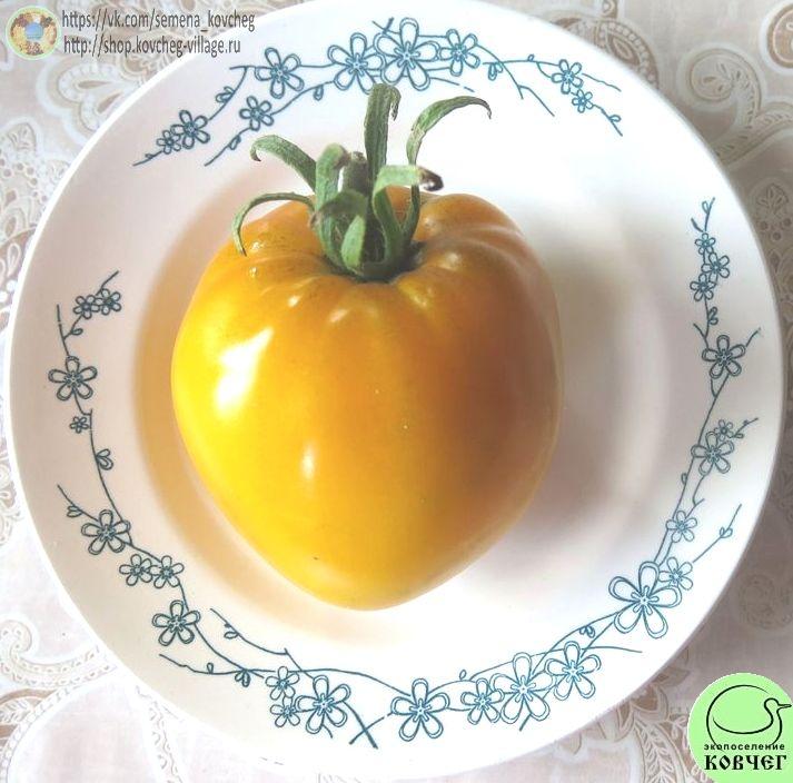 1. Алтайский мёд (3)_1 Семена томата Алтайский мёд