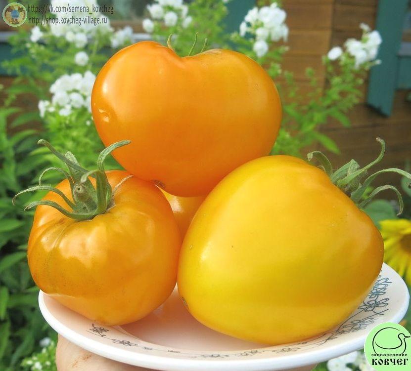 1. Алтайский мёд (6)_1 Семена томата Алтайский мёд