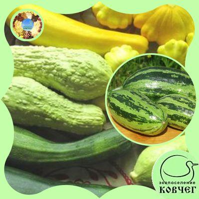 12 2019-2021г. Смесь семян КАБАЧКОВ кустовых сортов