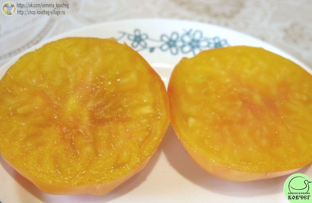 13. Е.Т. (6)_1 Семена томата Е.Т.