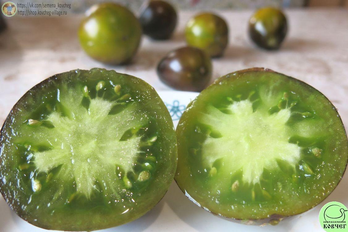 18. Контраст Фландрии (7)_1 Семена томата Контраст Фландрии