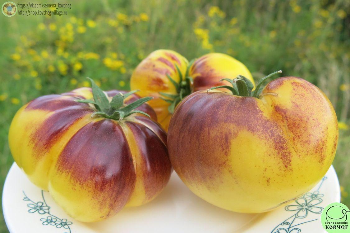 3. Большой белый + П-20 (12)_1 Семена томата Большой белый + П-20