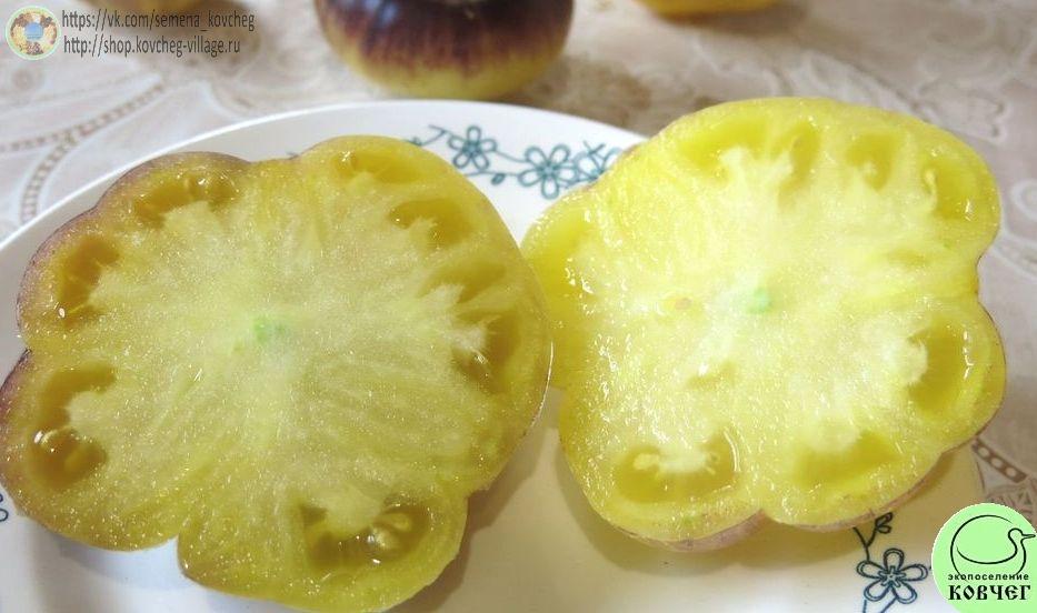 3. Большой белый + П-20 (14)_1 Семена томата Большой белый + П-20