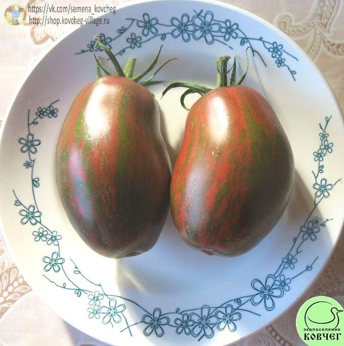 37. Сладкий клык_1 Семена томата Сладкий клык