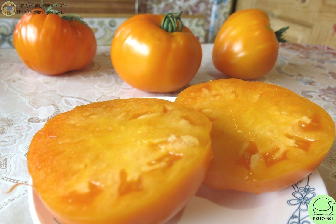 4. Большой бельгийский (4)_1 Семена томата Большой бельгийский