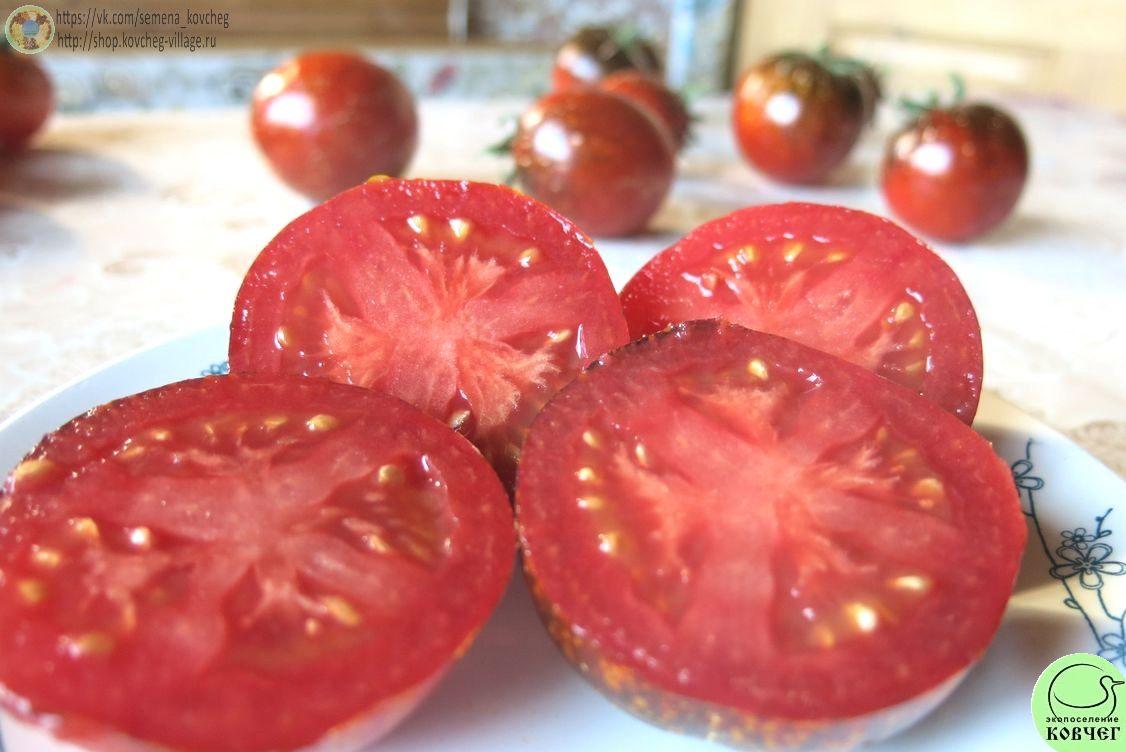 40. Тёмная галактика (15)_1 Семена томата Тёмная галактика