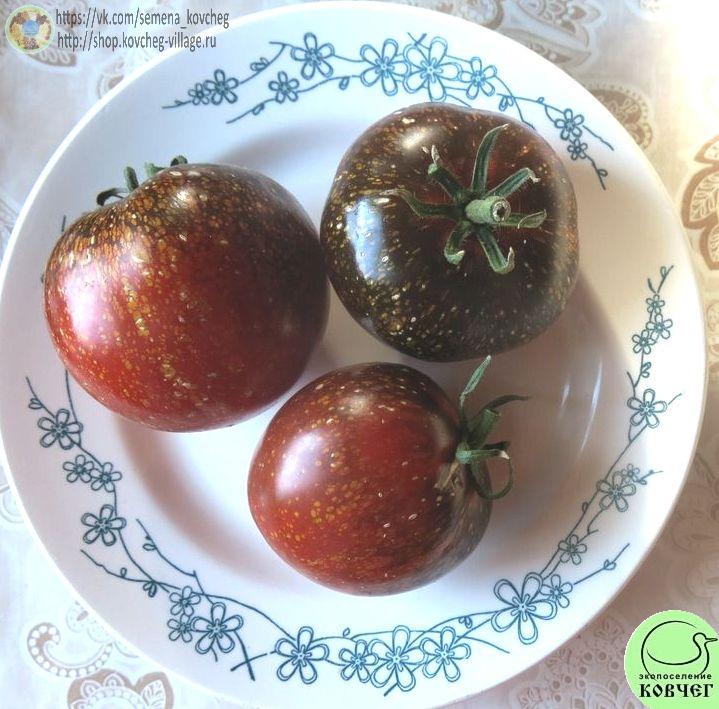 40. Тёмная галактика (17)_1 Семена томата Тёмная галактика