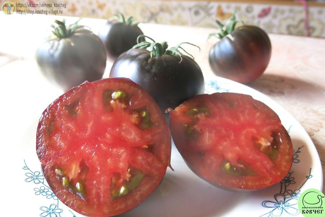45. Черный красавец (7)_1 Семена томата Черный красавец