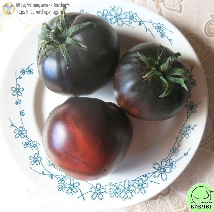 45. Черный красавец_1 Семена томата Черный красавец