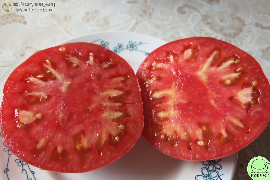 47. Чудо земли (8)_1 Семена томата Чудо земли