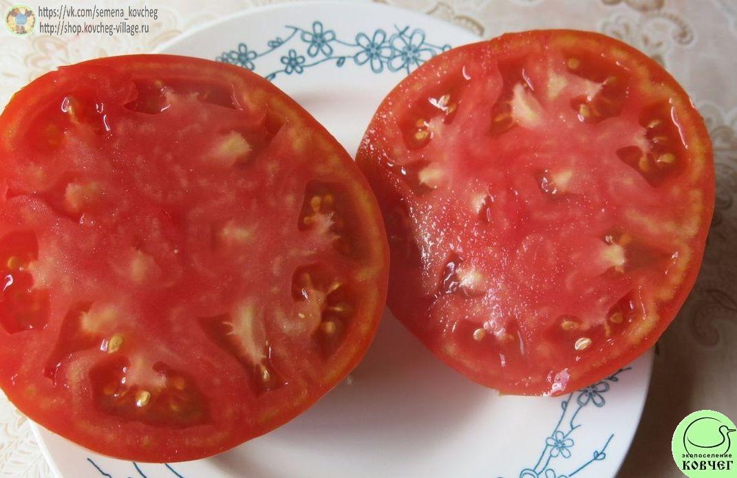 9. Гигантисика (4)_1 2024г. Семена томата Гигантисика