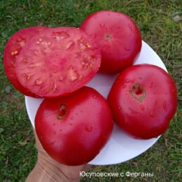 Семена томата Юсуповские с Ферганы