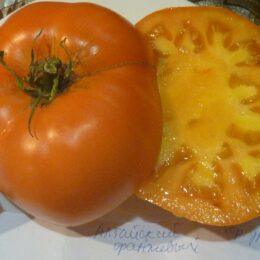 Семена томата Алтайский Оранжевый