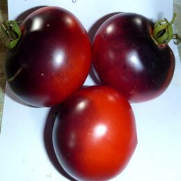 Семена томата Красный Уголь