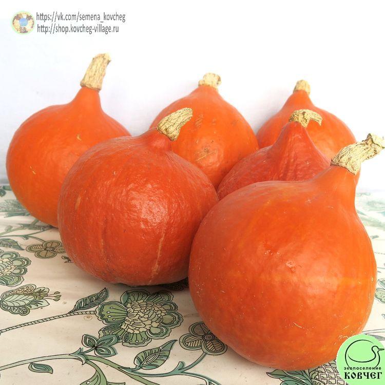 т20. Тыква Лесной орех (2)-_1_1 Семена тыквы Лесной орех