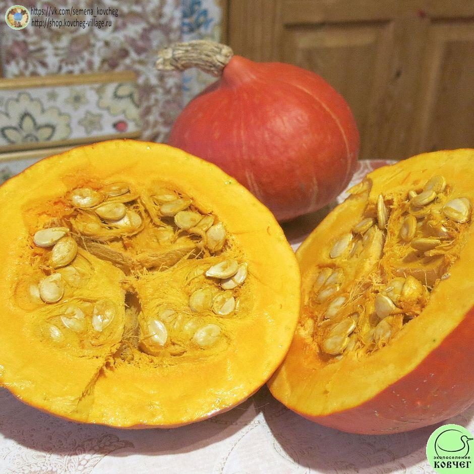 -т27. Потимарон Красное солнце (11)_1_1 Семена тыквы-потимарона Красное солнце