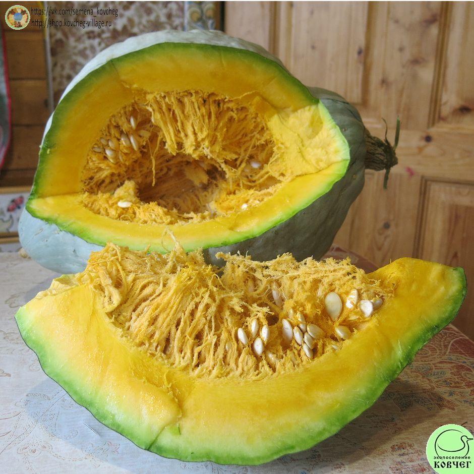 -т31. Тыква Синий Хаббард (20)_1_1 Семена тыквы Синий Хаббард