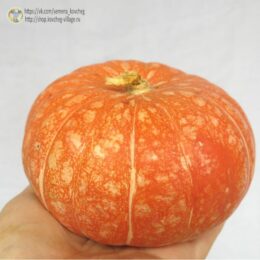 Семена тыквы Ольга