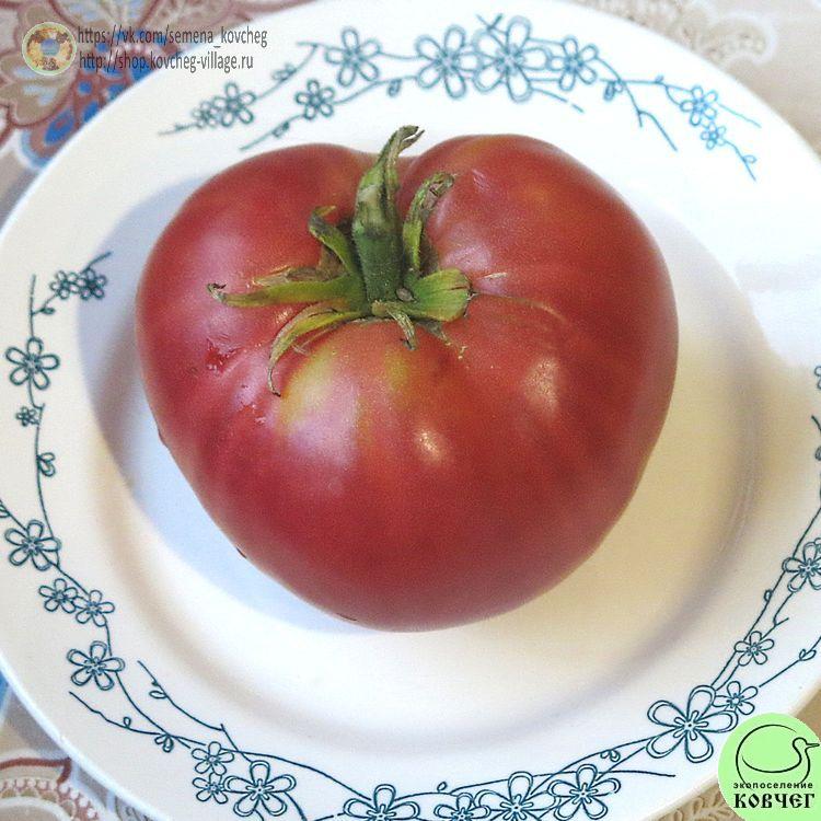 1. Алтайский (3)_1_1 Семена томата Алтайский