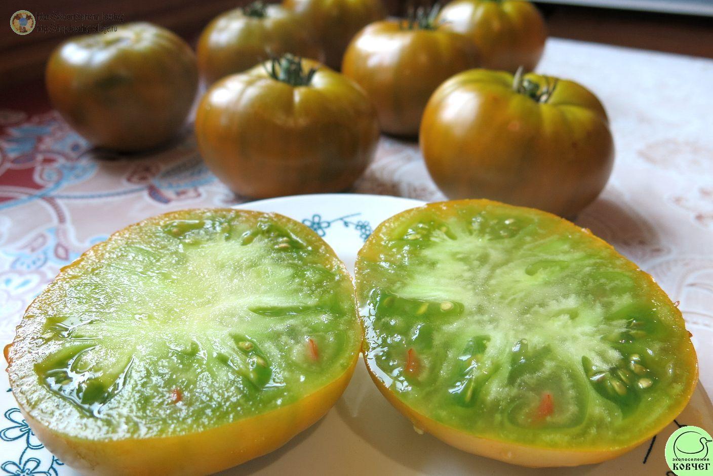 21. Лягушка-царевна (7)_1_1 Семена томата Лягушка-царевна