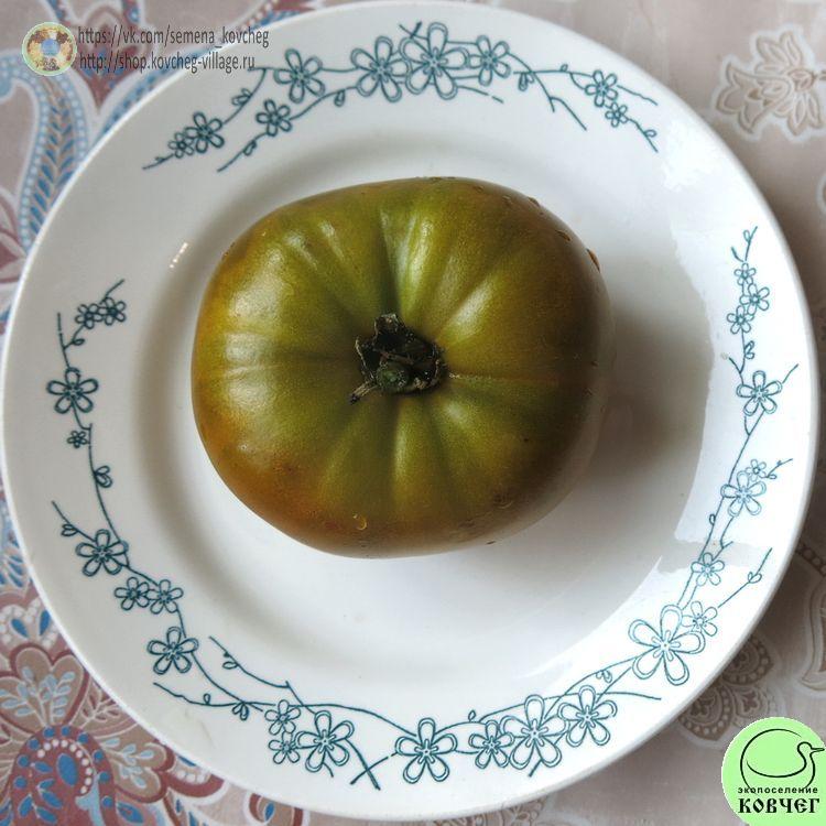 21. Лягушка-царевна_1_1 Семена томата Лягушка-царевна