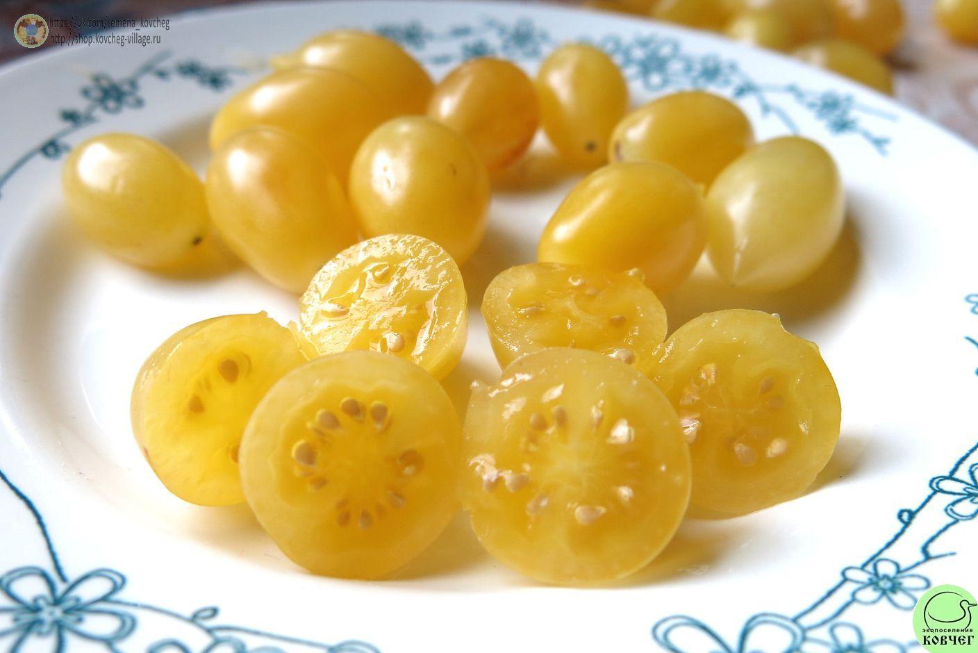 36. Сумасшедшие вишни Барри (10)_1_1 Семена томата Сумасшедшие вишни Барри