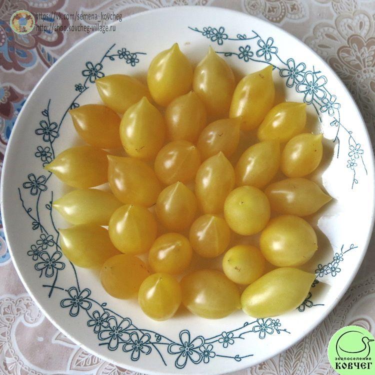 36. Сумасшедшие вишни Барри (4)_1_1 Семена томата Сумасшедшие вишни Барри