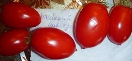 Семена томата Алтайский Шедевр консервный