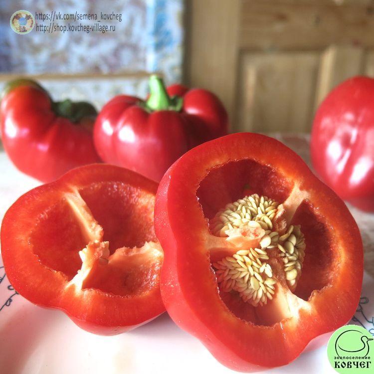 п12. Колобок (10)_1_1 2021г. Семена перца сладкого Колобок