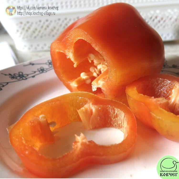 п19. Подарок Молдовы (4)_1_1 2021г. Семена перца сладкого Подарок Молдовы