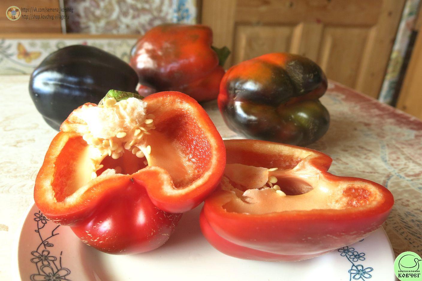 п3. Багира (12)_1_1 2024г. Семена перца сладкого Багира