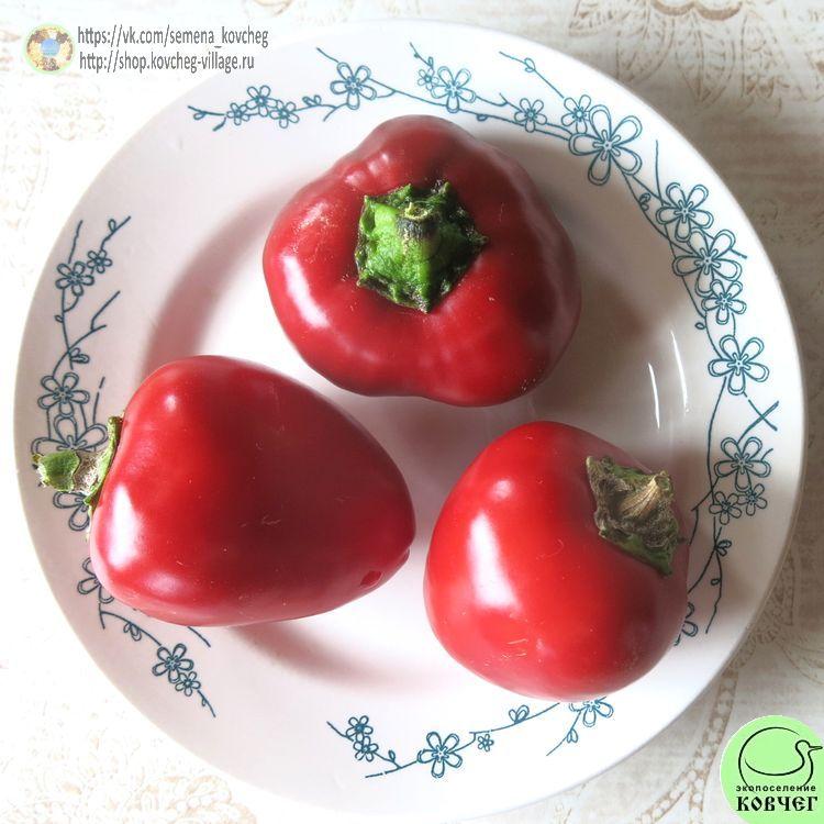 п6. Гогошарчик красный (4)_1_1 2021г. Семена перца сладкого Гогошарчик красный