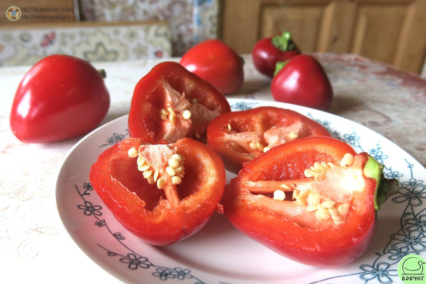 п6. Гогошарчик красный (9)_1_1 2021г. Семена перца сладкого Гогошарчик красный