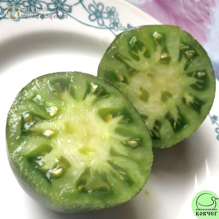 1. VT-16 (8)-_1_1 Семена томата VT-16