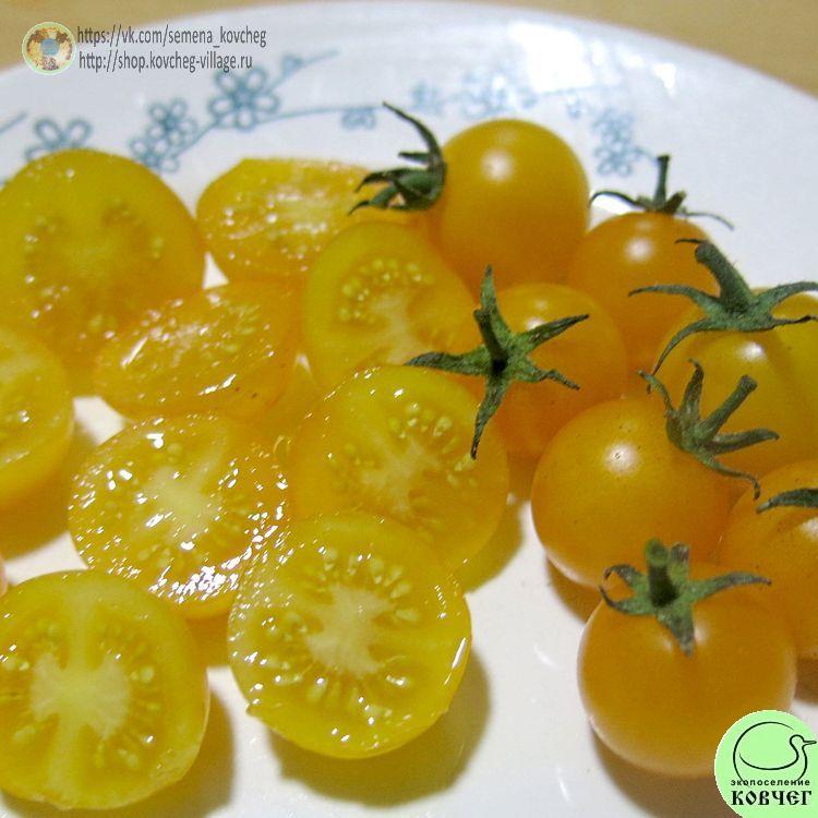 19. Желтый лилипут (11)-_1_1 Семена томата Жёлтый лилипут