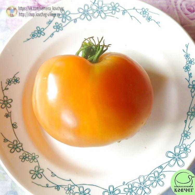 23. ЗОЛОТОЕ КОЛЕСО (4)-_1_1 Семена томата Золотое колесо