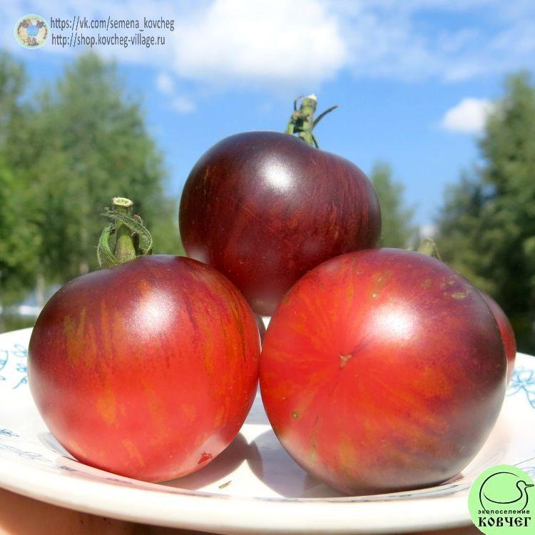 24. ЗОЛОТОЕ ЯБЛОКО ИЗ СЕН ЖАН ДЕ БОРЕЖАРА (4)-_1_1 Семена томата Золотое яблоко из Сен Жан де Борежара