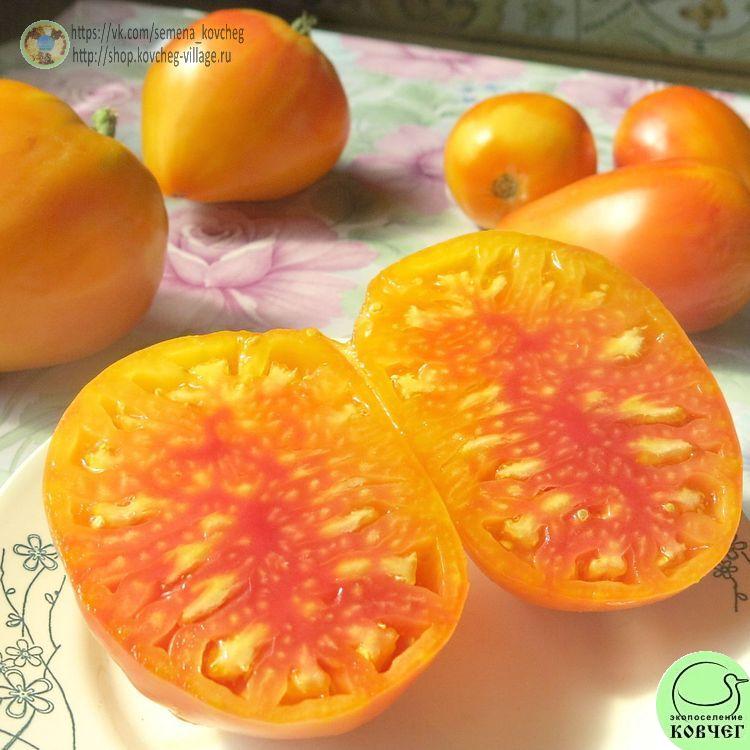 25. Золотые горы Медео (18)-_1_1 Семена томата Золотые горы Медео