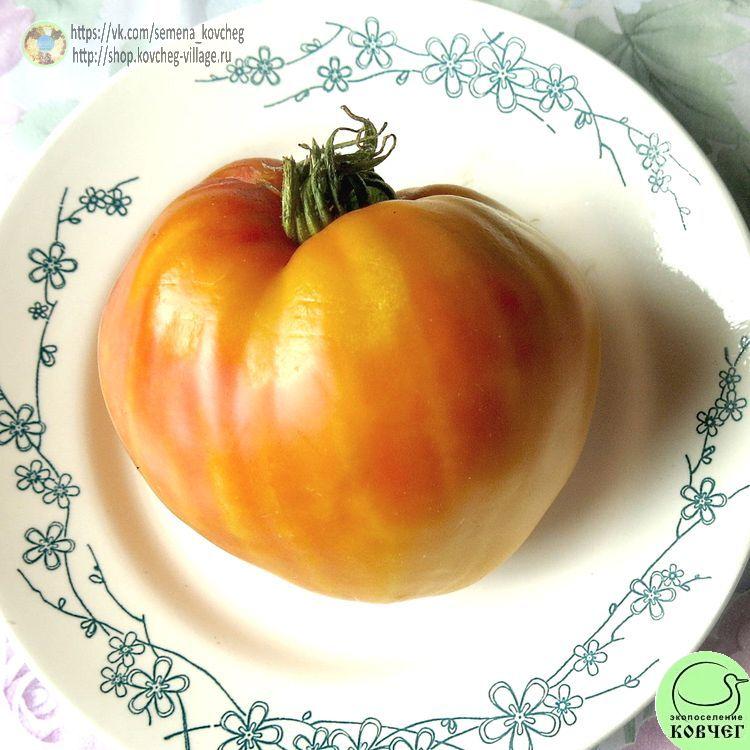 25. Золотые горы Медео (5)-_1_1 Семена томата Золотые горы Медео