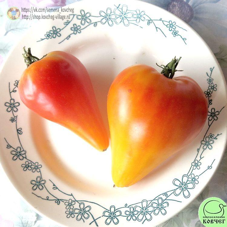 28. Канадское наследие (3)-_1_1 Семена томата Канадское наследие