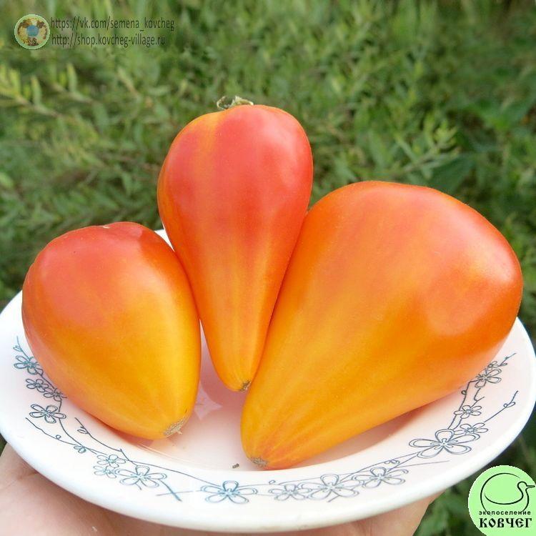 28. Канадское наследие (5)-_1_1 Семена томата Канадское наследие