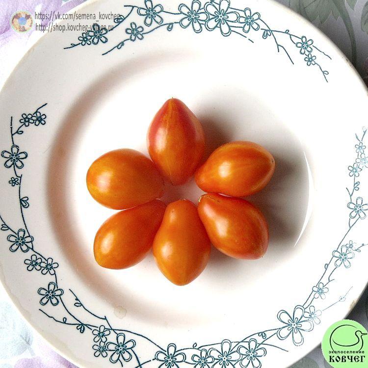 36. Люк Фихо-_1_1 Семена томата Люк Фихо