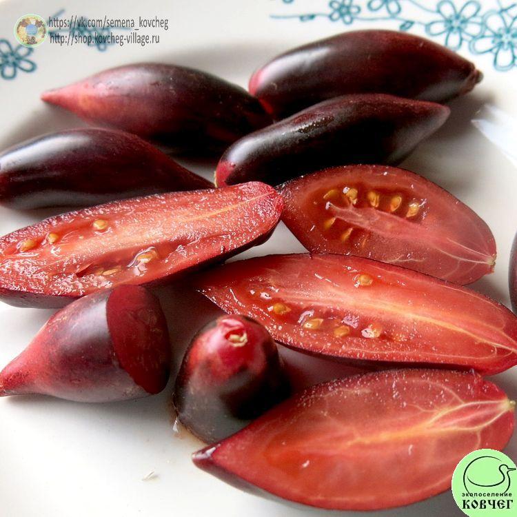 61. Сливка Гурман (13)-_1_1 Семена томата Сливка Гурман