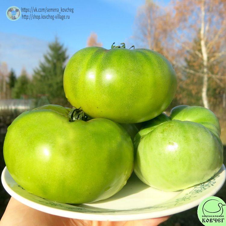 г4. ИЗУМРУДНЫЙ ГИГАНТ (3)-_1_1 Семена томата Изумрудный гигант